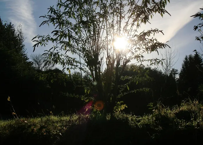 ليندث هاو 4*